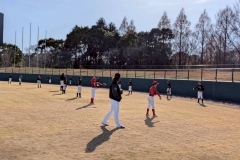 00e589b71ce2810dfb397abbc5890739