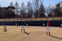 47bdd7528b3ed0f408dd4c7c0a0fd702