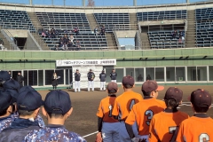 77f3c3bd5dca8975485250de67f1035d