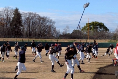 fcc34877d163217ea11d5fcf11cd2913