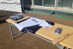 ffe060ff97eff0584346a646949cac37